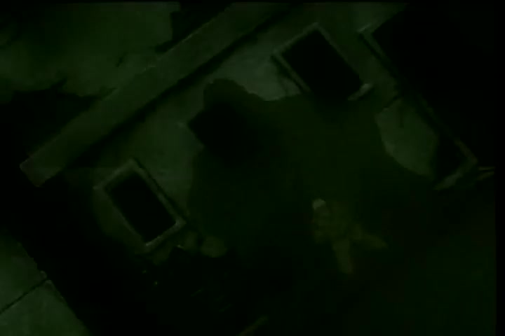 [Tsukyio Editing Resources] Hellsing (Episode 7) Raw Clips (257) (tsukyio.com).mp4